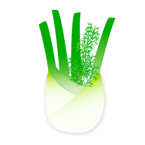 fennel icon