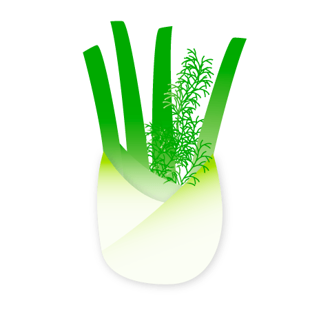 fennel icon