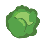 cabbage icon