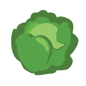 cabbage icon