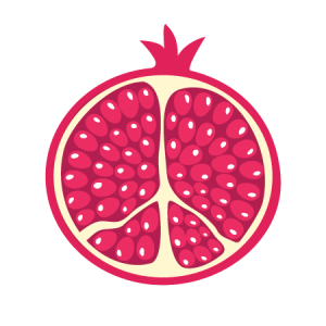 pomegranate icon