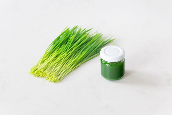 wheatgrass juice