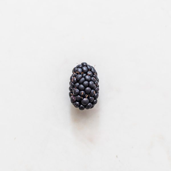 antioxidant blackberry