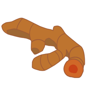 turmeric icon