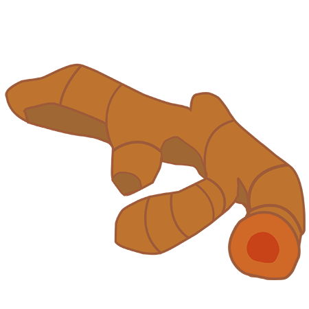kurkuma icoon