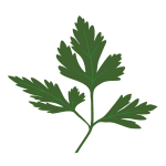 parsley icon