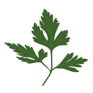 parsley icon