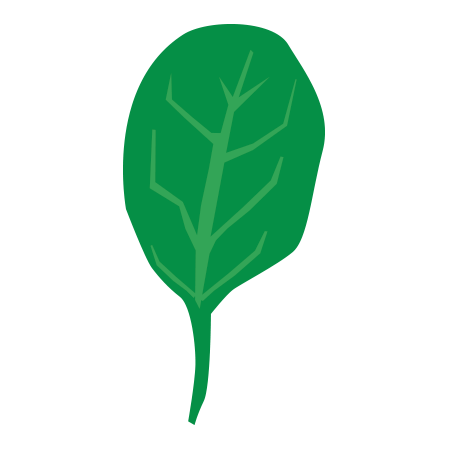 Spinach icon