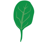 spinach icon