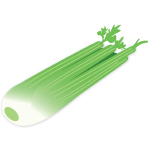 celery icon