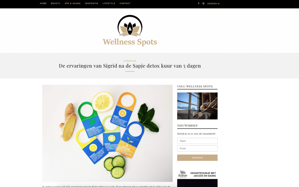 wellness spots review
