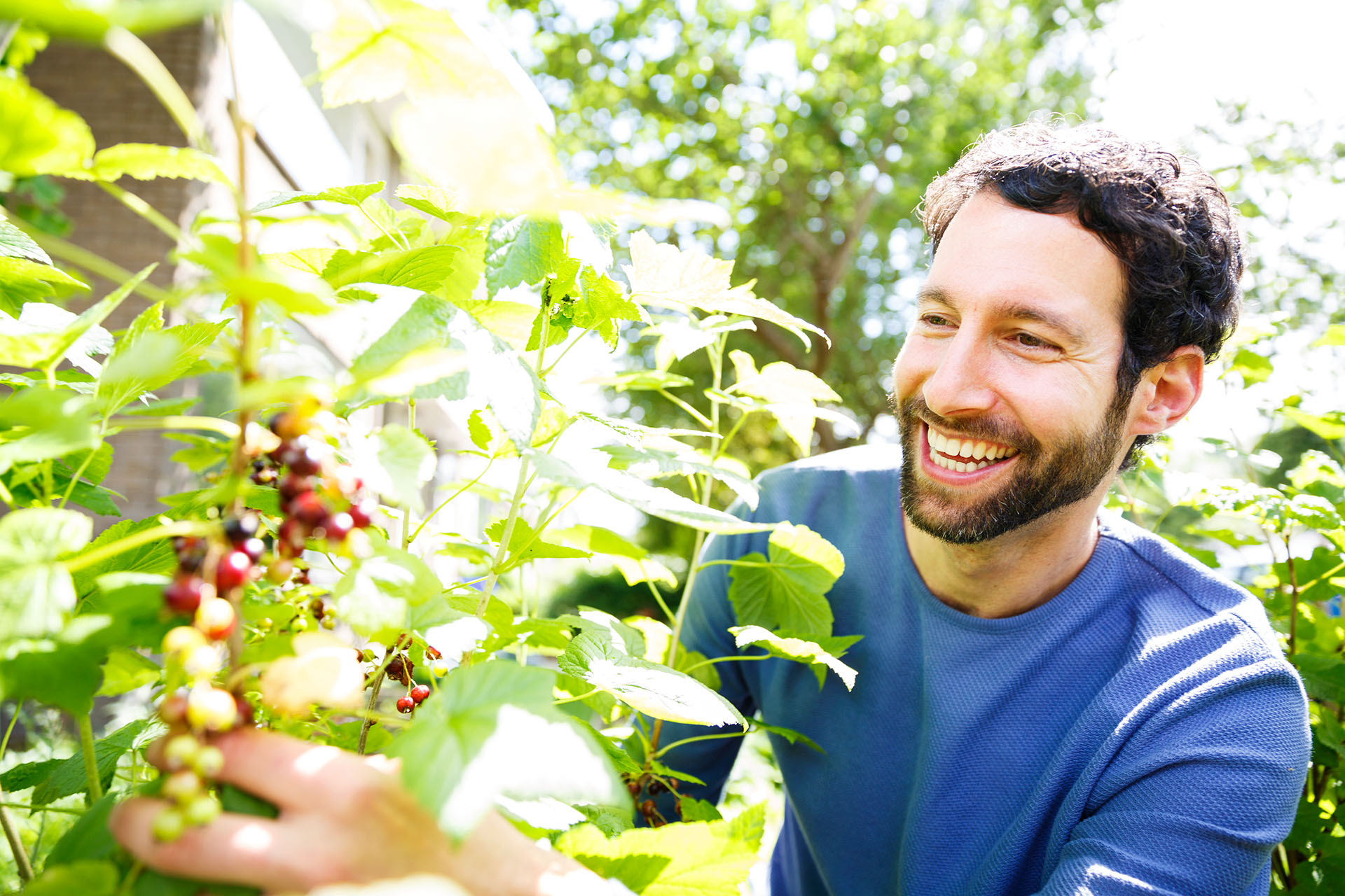 The benefits of organic juice - SAPJE