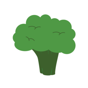 biologische broccolisoep