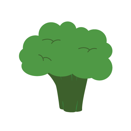 biologische broccolisoep