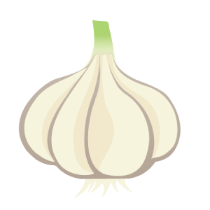 garlic icon