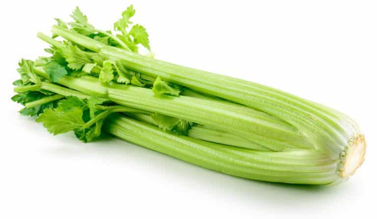 celery 
