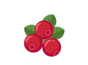 cranberry