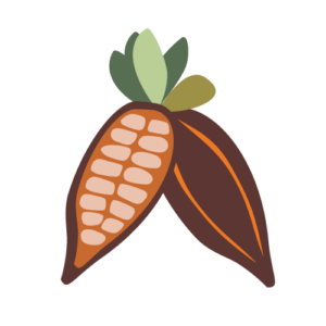 cacao icoon