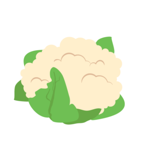 bloemkool icoon