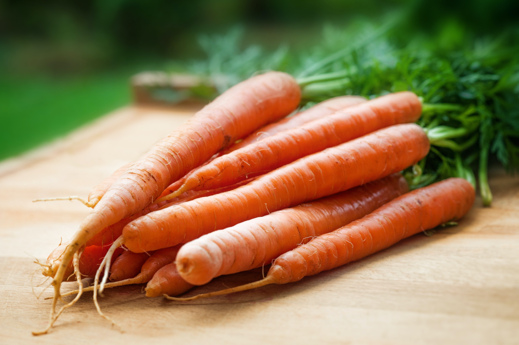 carrot vegetable
