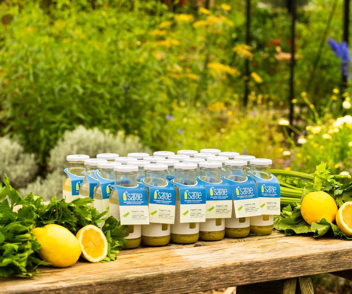 Celery juice box