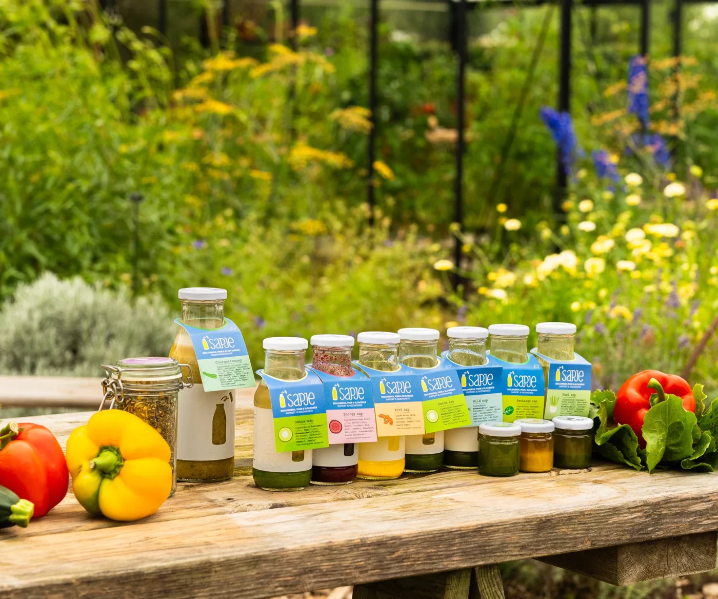 1 day juice cleanse