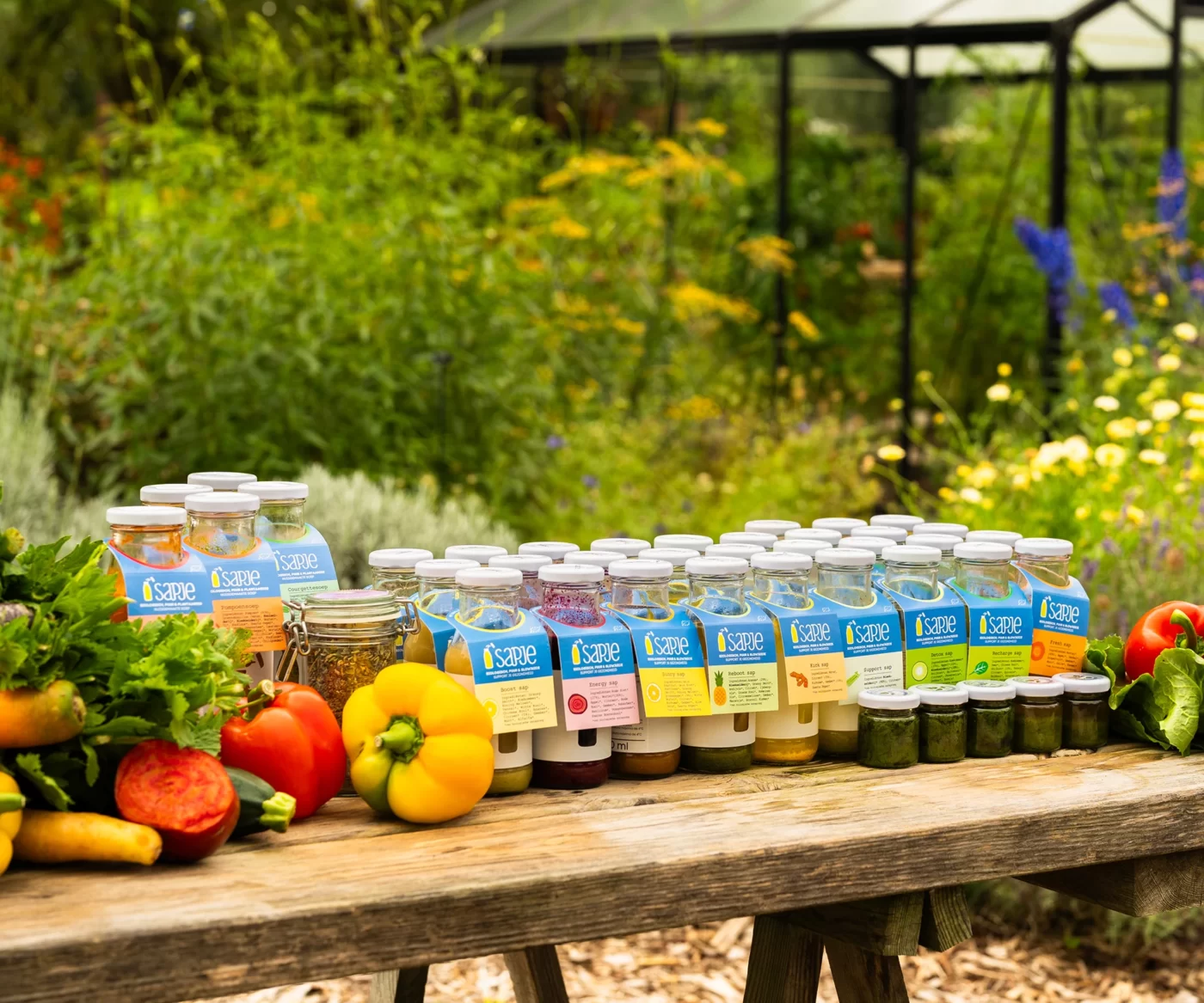 5 day juice cleanse