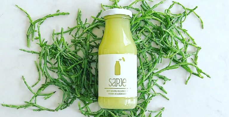 Drs richard de leth oersterk zeewier sapje seasons 1