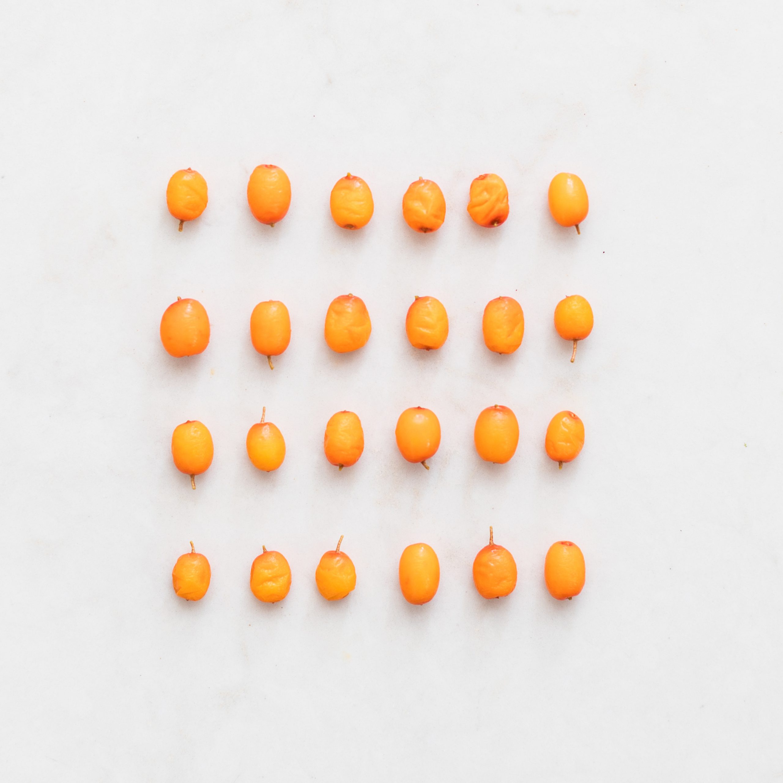 Sea buckthorn berries