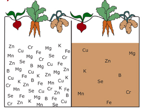 Schermafbeelding 2014 12 11 om 15. 07. 21