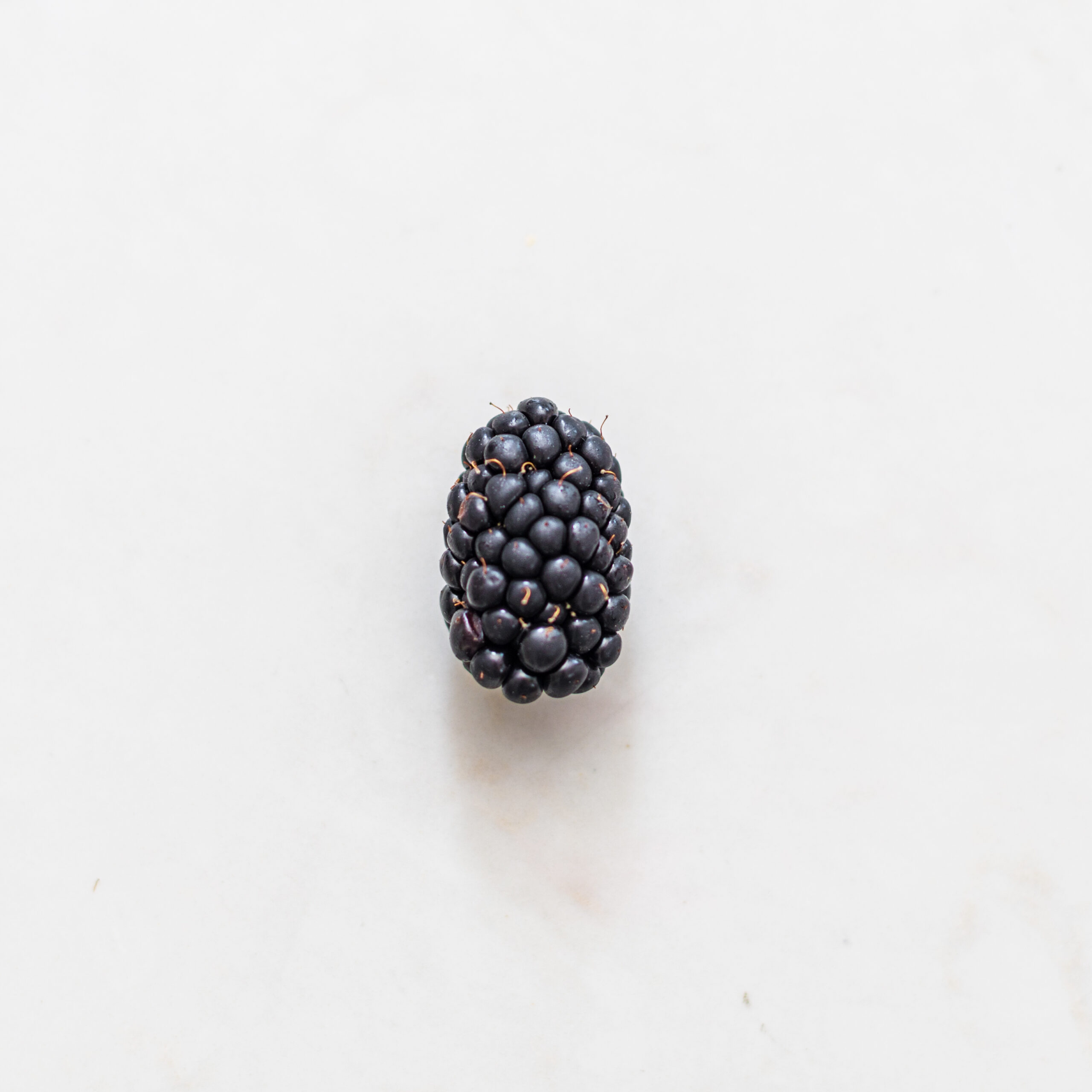 Antioxidant blackberry