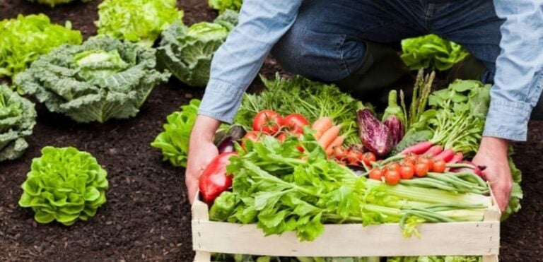 Ewrwerrr4545435 876x423 1