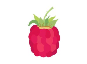 Raspberry