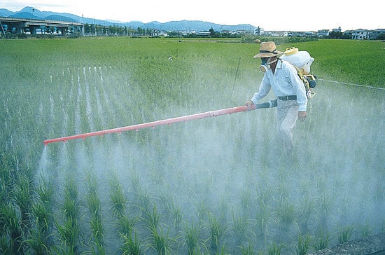 Pesticides1