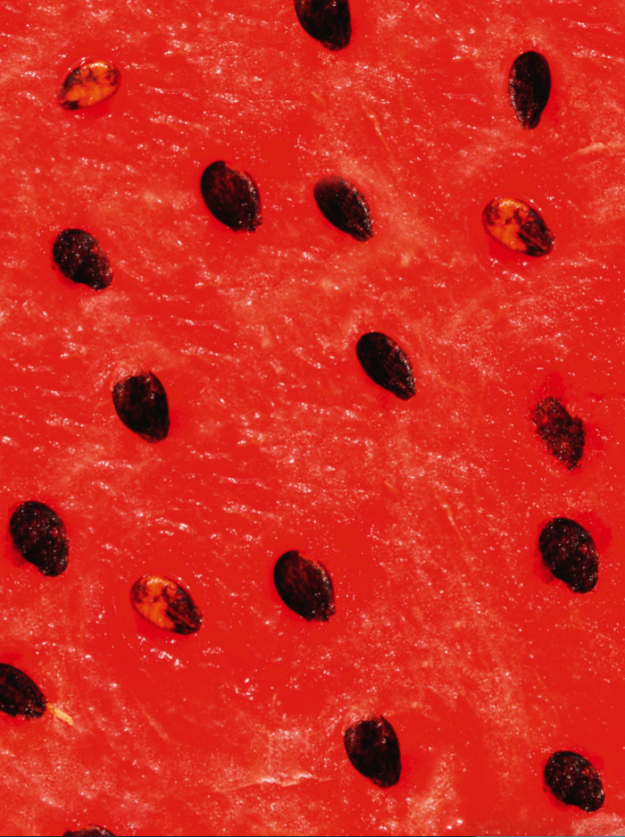 Watermeloen van dichtbij