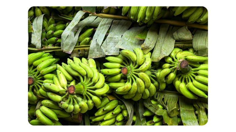 Bananen gezond voor je darmen