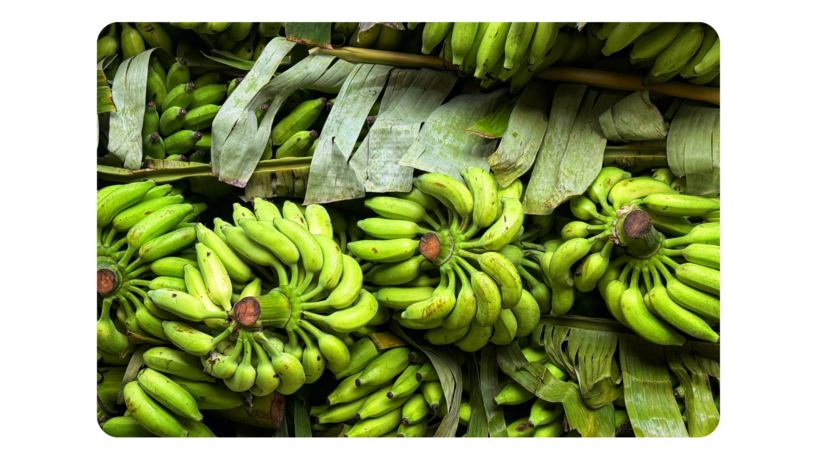 Zijn bananen gezond voor je darmen? Het eerlijke antwoord